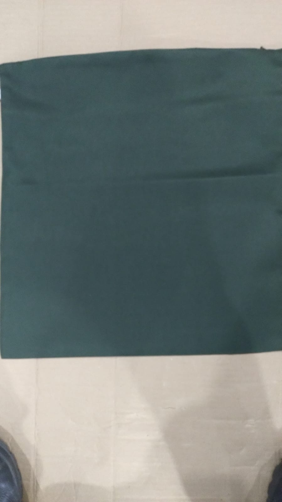 IS20 CAPA ALMOFADA LINHO VERDE 43X43